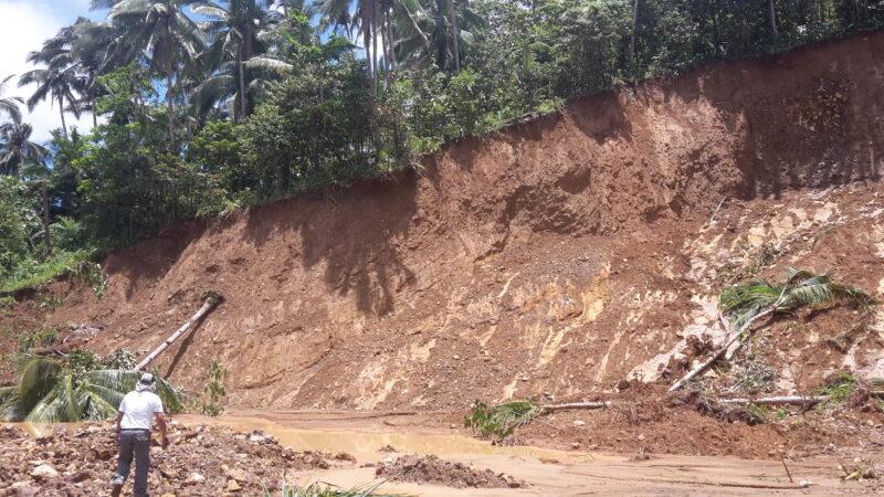 Landslide in Mailhi with fallen trees and a person standing in the front