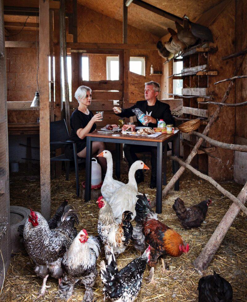 Honey and Bunny are sitting in a stall eating. In front of them are several hens