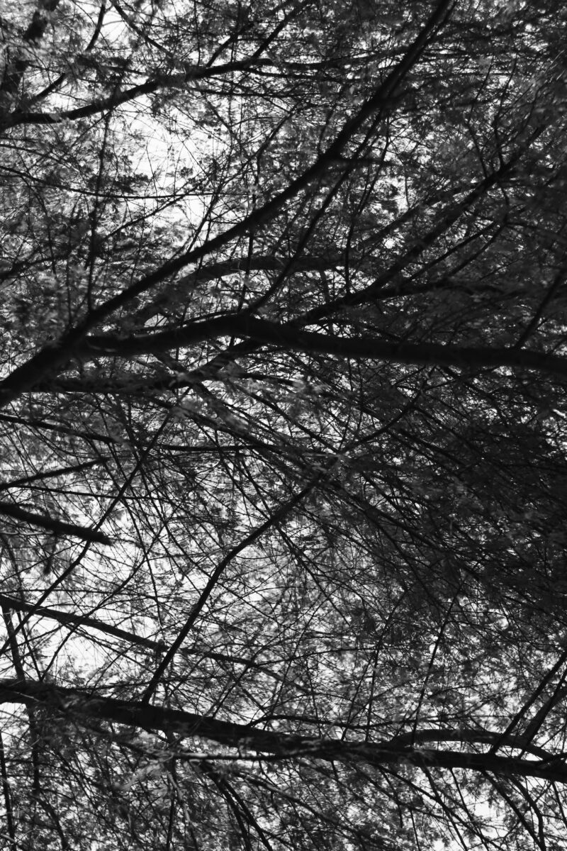 The Role of Emotions in Education – a Concept Development for Social-Emotional Learning in Education for Sustainable Development at Primary Schools