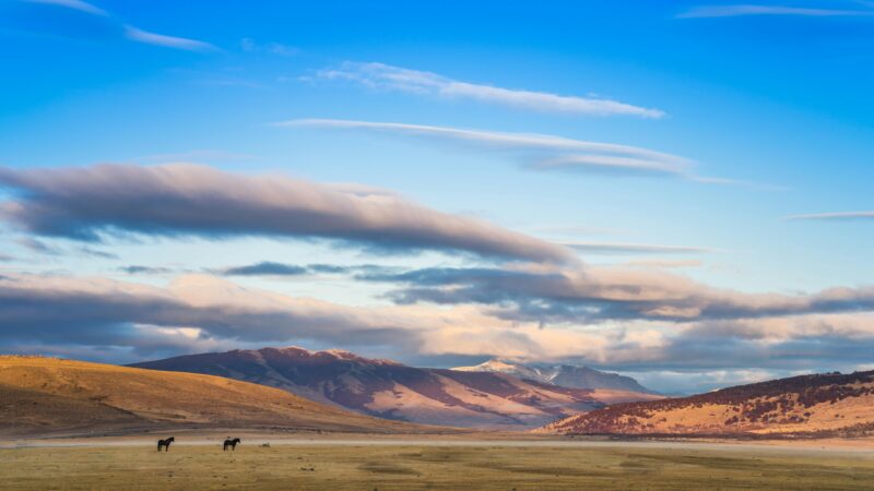 Green Hydrogen Futures: exploring the socio-ecological implications and narratives of green development in Patagonia